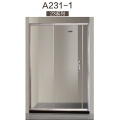 A231_1